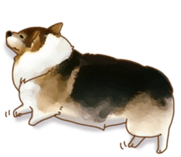 Dangerous Corgi sticker #9081732