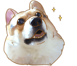 Dangerous Corgi sticker #9081733