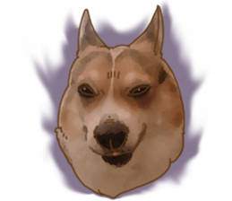 Dangerous Corgi sticker #9081734