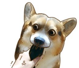 Dangerous Corgi sticker #9081735