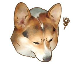 Dangerous Corgi sticker #9081736