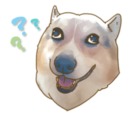 Dangerous Corgi sticker #9081739