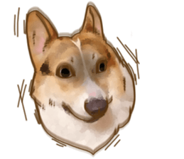 Dangerous Corgi sticker #9081740