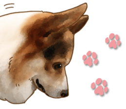 Dangerous Corgi sticker #9081741