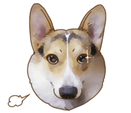 Dangerous Corgi sticker #9081742