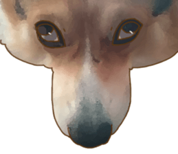 Dangerous Corgi sticker #9081743