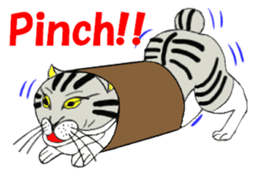 Japanese Bobtail cat "TAP" sticker #9083989