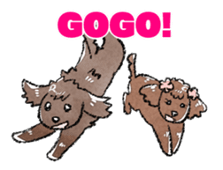 The toy poodle! sticker #9085147