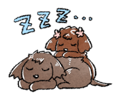 The toy poodle! sticker #9085149