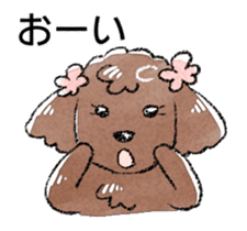 The toy poodle! sticker #9085154