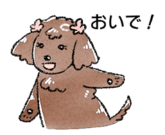 The toy poodle! sticker #9085159