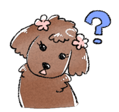The toy poodle! sticker #9085165