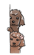The toy poodle! sticker #9085167