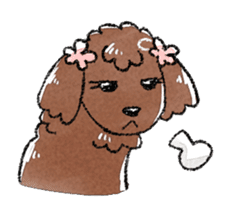 The toy poodle! sticker #9085169