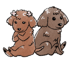 The toy poodle! sticker #9085183
