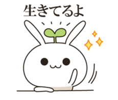 Very positive rabbit sticker #9085620