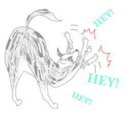 BORDERCOLLIEs sticker #9085628