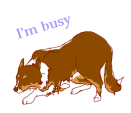 BORDERCOLLIEs sticker #9085632