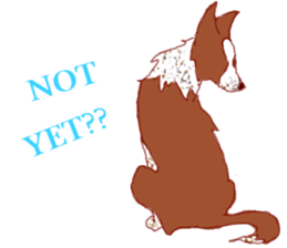 BORDERCOLLIEs sticker #9085638