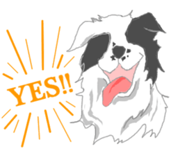BORDERCOLLIEs sticker #9085641