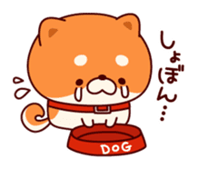 One's own pace Japanese midget Shiba sticker #9086069