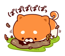 One's own pace Japanese midget Shiba sticker #9086080