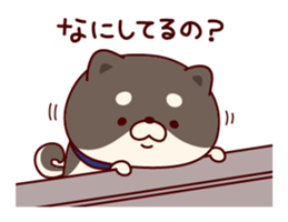 One's own pace Japanese midget Shiba sticker #9086082