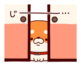 One's own pace Japanese midget Shiba sticker #9086084