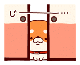 One's own pace Japanese midget Shiba sticker #9086084