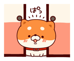 One's own pace Japanese midget Shiba sticker #9086086