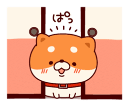One's own pace Japanese midget Shiba sticker #9086086