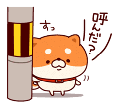 One's own pace Japanese midget Shiba sticker #9086088