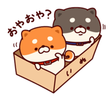 One's own pace Japanese midget Shiba sticker #9086089