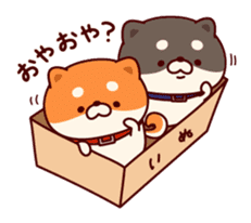 One's own pace Japanese midget Shiba sticker #9086089