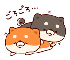 One's own pace Japanese midget Shiba sticker #9086093