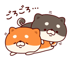 One's own pace Japanese midget Shiba sticker #9086093