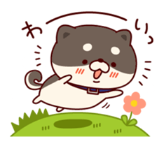 One's own pace Japanese midget Shiba sticker #9086096