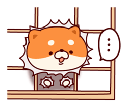 One's own pace Japanese midget Shiba sticker #9086100