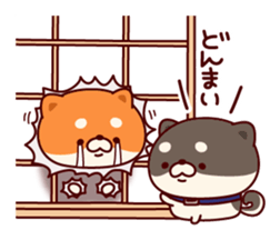 One's own pace Japanese midget Shiba sticker #9086101