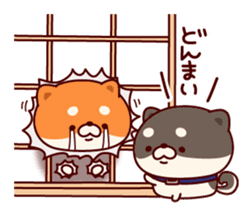 One's own pace Japanese midget Shiba sticker #9086101