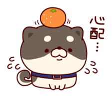 One's own pace Japanese midget Shiba sticker #9086103
