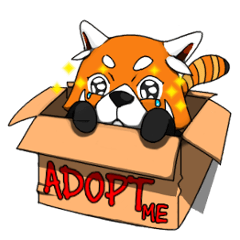 Red-Cat-Bear (Lesser Panda)