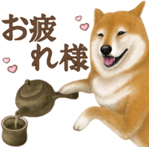 As expected! Shiba Inu [Regular] sticker #9090150