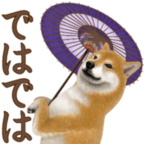 As expected! Shiba Inu [Regular] sticker #9090153