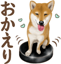 As expected! Shiba Inu [Regular] sticker #9090155
