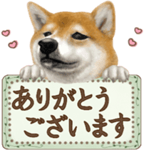 As expected! Shiba Inu [Regular] sticker #9090158