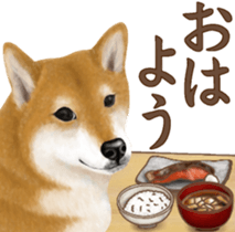 As expected! Shiba Inu [Regular] sticker #9090160