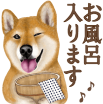 As expected! Shiba Inu [Regular] sticker #9090167