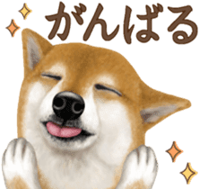 As expected! Shiba Inu [Regular] sticker #9090173