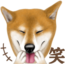 As expected! Shiba Inu [Regular] sticker #9090179